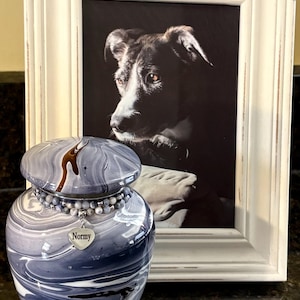 Barbara added a photo of their purchase