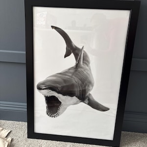 Whitney added a photo of their purchase