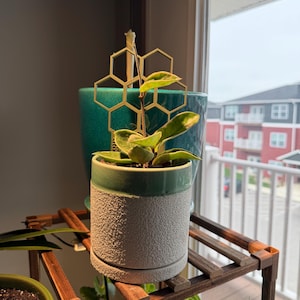 Charlotte added a photo of their purchase