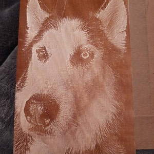 Danielle added a photo of their purchase