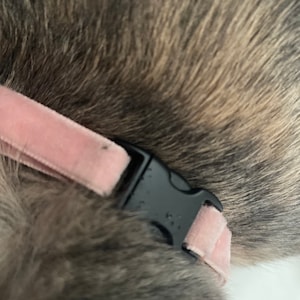 Victoria added a photo of their purchase