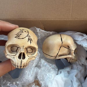 William added a photo of their purchase
