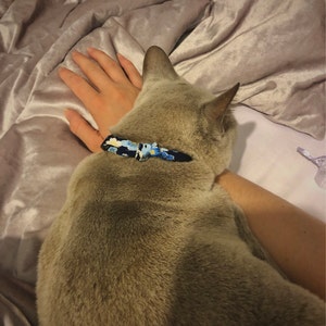 El added a photo of their purchase
