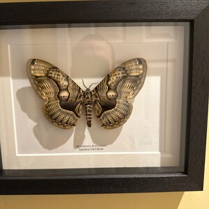 James added a photo of their purchase