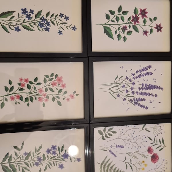 Postcard Set of 6 - Botanical Wildflowers Collection - Watercolour ...