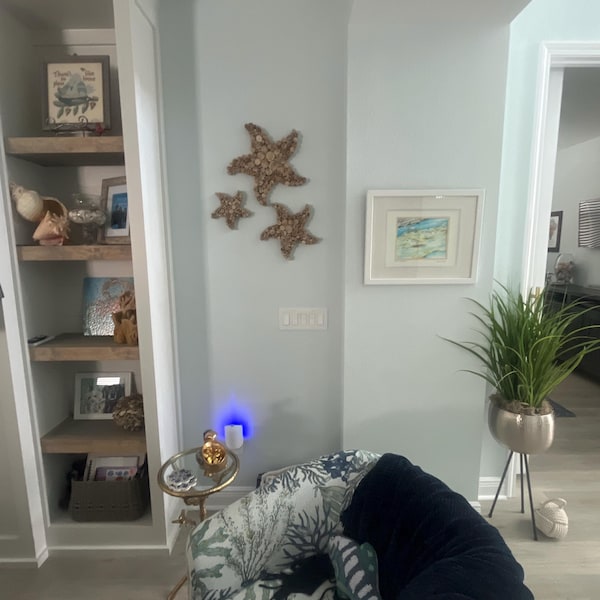 Driftwood Starfish Wall Decor Set– Handmade Coastal Beach House Art - Etsy