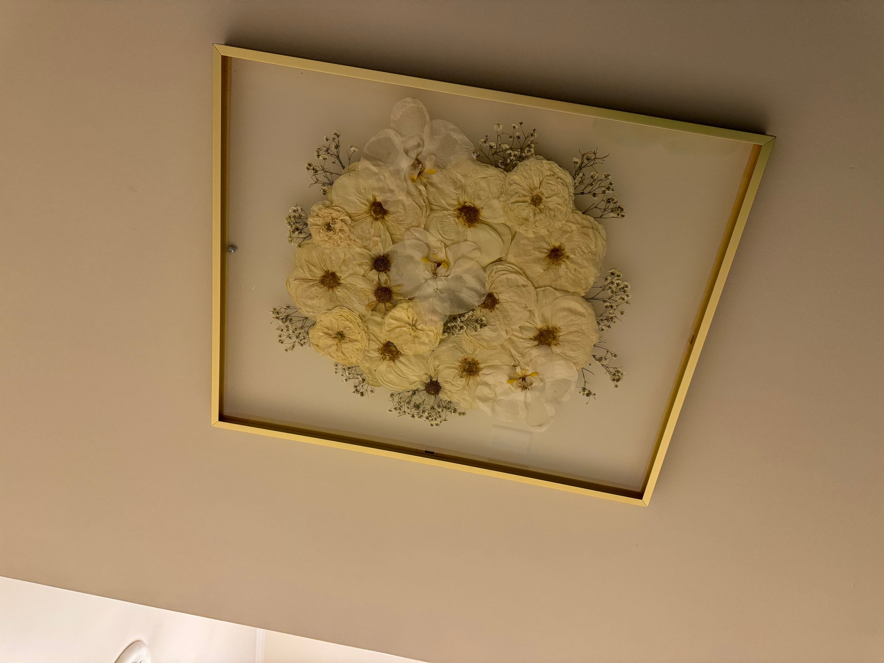 Preserved flowers from Madison's etsy review