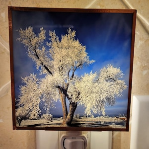 Comprador de Etsy ha añadido una foto de su compra