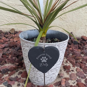Kacie added a photo of their purchase