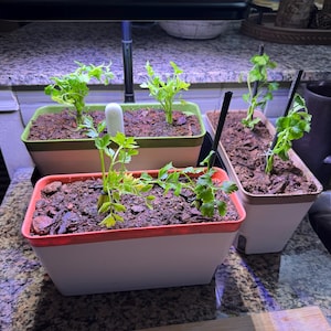 Tom added a photo of their purchase