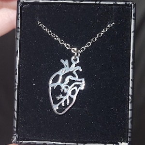 Vaida added a photo of their purchase