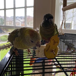 Mari added a photo of their purchase