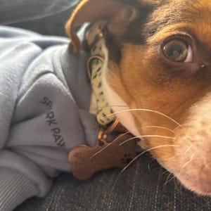 Maebel ha añadido una foto de su compra