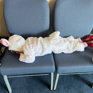 ShadowPixit added a photo of their purchase