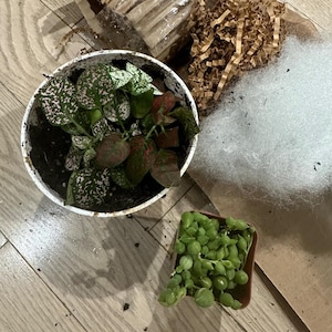 April added a photo of their purchase