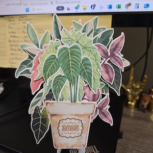 Nancy added a photo of their purchase