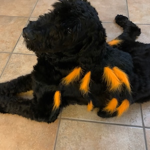 kari added a photo of their purchase