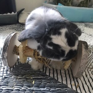 Izzy added a photo of their purchase
