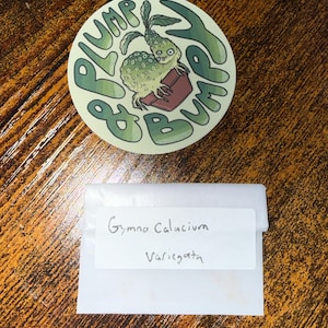 Trinity added a photo of their purchase
