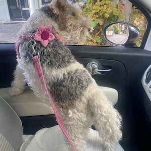 Beverley added a photo of their purchase