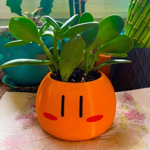 Miriam added a photo of their purchase