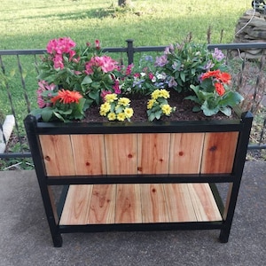 CdCruiser added a photo of their purchase