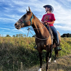Horse Riding Standard Helmet Brim Sun Visor Shade All Black - Etsy