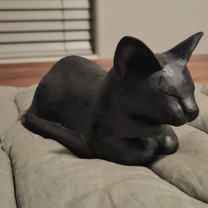 Payden added a photo of their purchase