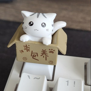 Payton added a photo of their purchase