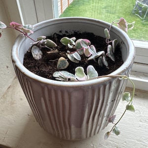 Halie added a photo of their purchase