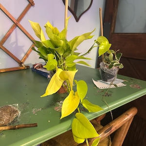 Joyce added a photo of their purchase