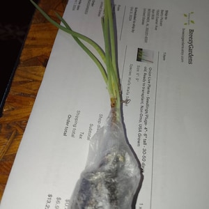 Betty ha añadido una foto de su compra