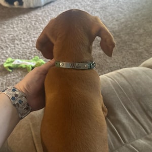 Tasha added a photo of their purchase