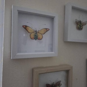 Fee added a photo of their purchase