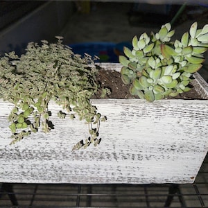 Lori added a photo of their purchase