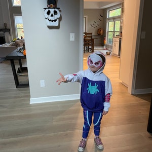 Spider Friends Ghost Spider Cosplay Halloween Disney Bounding Express  Shipping Unisex Kid's Hoodie 2T to Size 12 -  Canada