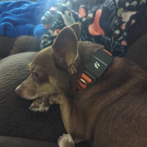 Niedel added a photo of their purchase