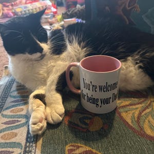 Meliss added a photo of their purchase