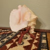 Large Wood Display Stand I Large Wooden Display Stand I Conch Shell ...