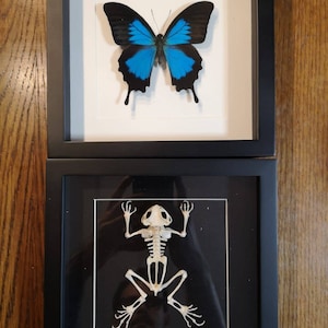 Sara ha añadido una foto de su compra