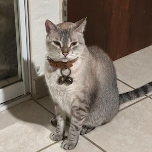 Wilma added a photo of their purchase
