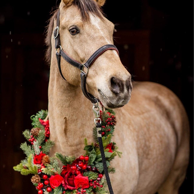 11 Pcs Christmas Horse Accessory Includes Santa Horse Hat With Fleece