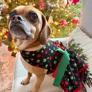 Christmas Dog Dress: Paw Print Holiday Outfit, Plaid Underskirt