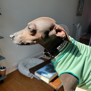 V added a photo of their purchase