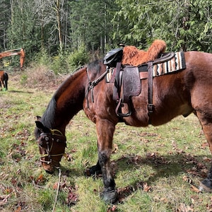 Bree added a photo of their purchase