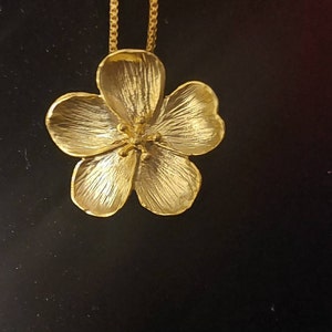 TC added a photo of their purchase