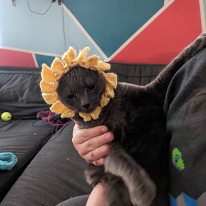 Emily added a photo of their purchase
