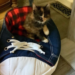 Grace added a photo of their purchase