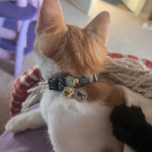 Liz added a photo of their purchase