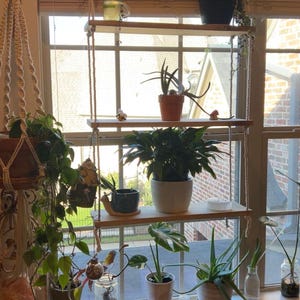 Lillian added a photo of their purchase